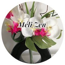 Logo MÃ©li Zen - EsthÃ©ticienne Ã  domicile - lebienetre.fr