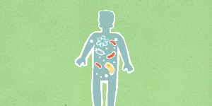 Atelier en ligne « Le microbiote intestinal, on en parle? » – Mardi 20 mai 2025 de 12h30 à 13h15