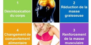 Pourquoi la plupart des régimes à la mode et des programmes de régimes se trompent ?