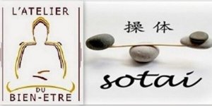 Qu'est ce que le Shiatsu Sotai?