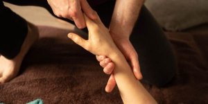 visuel article