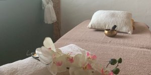visuel article
