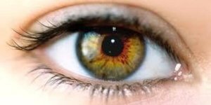 L'iridologie, l'histoire de santÃ© dans les iris des yeux