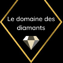 logo partenaire